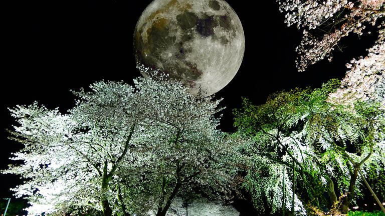 Luna piena nel segno della Bilancia | Foto: (c) k_yu - stock.adobe.com