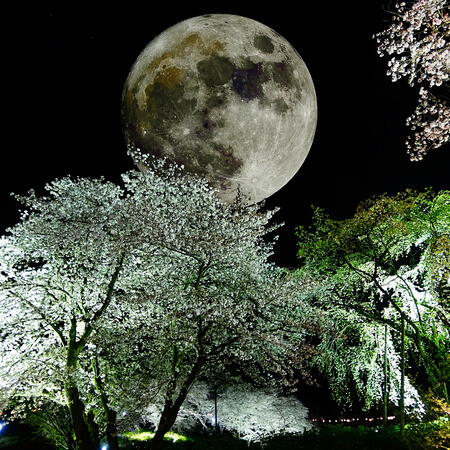 Luna piena nel segno della Bilancia | Foto: (c) k_yu - stock.adobe.com