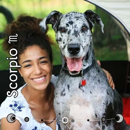 Monthly Horoscope Scorpio August 2025