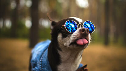 Horoscope for Thursday, 6/16/2022