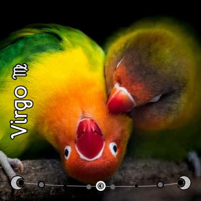 Virgo Horoscope for Wednesday, January 25 2023