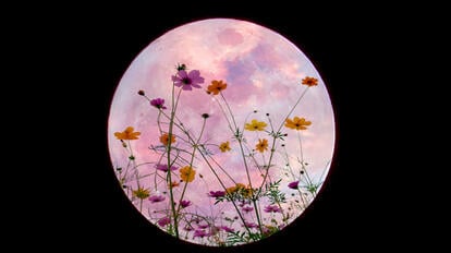 Aquarius weekly horoscope for the 24th week (13.06.22 - 19.06.22)
