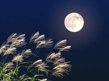 Full Moon (Capricorn) | Photo: &copy; miiko - Fotolia.com