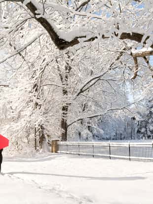 A beautiful winter snow scene with a woman walking with a red umbrella as the snow clings to the trees.