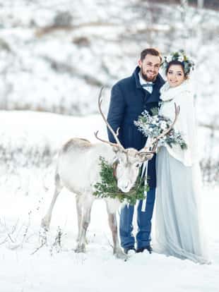 Winter wedding. The bride and groom stand with a deer on a snowy meadow.
