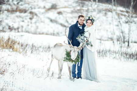 Winter wedding. The bride and groom stand with a deer on a snowy meadow.