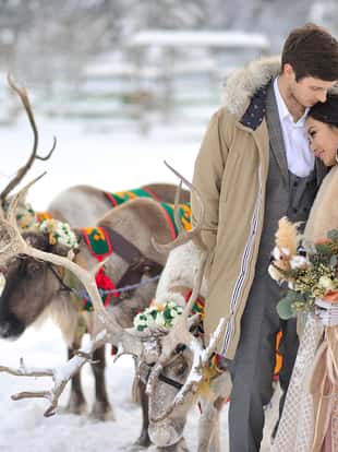Winter wedding European bridegroom and Asian bride with a harness of reindeer.