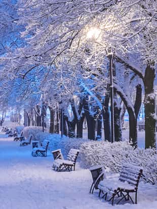 Amazing winter night landscape of snow covered bench among snowy trees and shining lights during the snowfall. Artistic picture. Beauty world.
