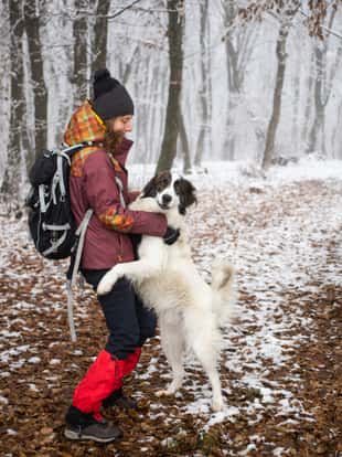 woman with dog walking in frost covered forest in winte