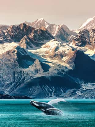 Alaska whale watching boat excursion. Inside passage mountain range landscape luxury travel cruise concept.