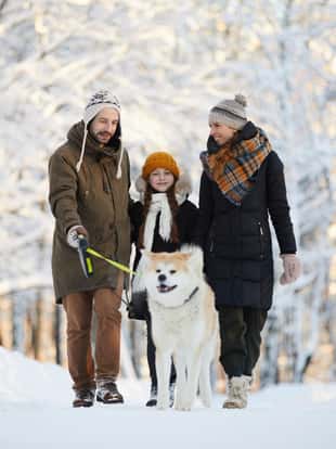 Full length portrait of happy family enjoying walk with dog in winter forest, copy space