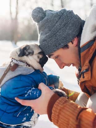 Pug dog walking on snow with his master. Puppy wearing winter coat. Man hugging his pet in winter forest. Clothes for animals