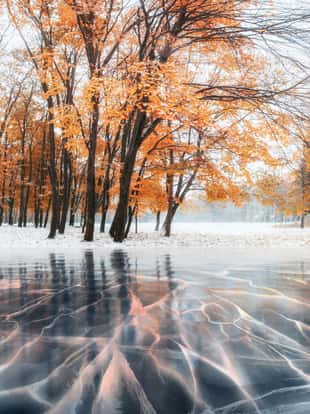 October mountain beech forest with first winter snow and blue ice and cracks on the surface of the ice. Winter. Ukraine, Europe.
