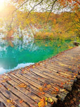 Famous tourist wooden pathway in the colorful deep forest with clean lake, Plitvice National Park, Croatia, Europe