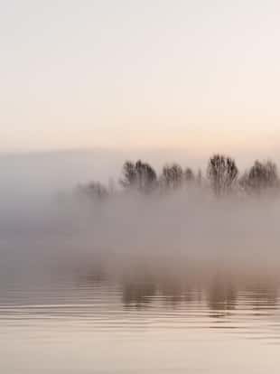 Fog winter landscape at lake with tree
