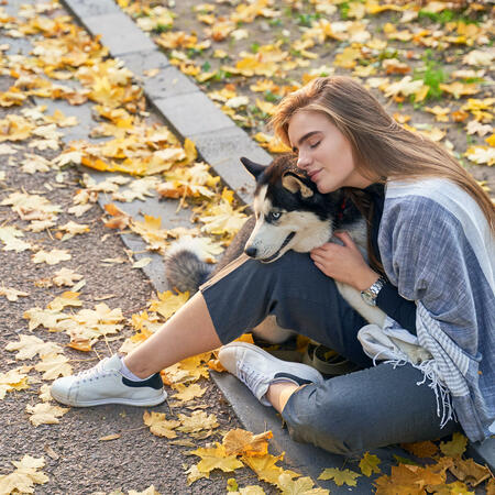 Young beautiful girl playing with her cute husky dog pet in evening autumn park covered with red and yellow fallen leaves