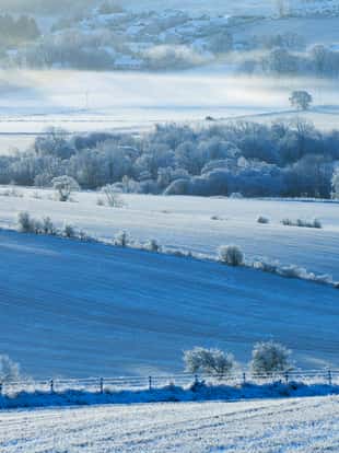 Looking across farmland and trees in heavy frost.