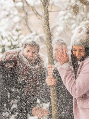 Young man shaking snow covered tree, snow falling down on his laughing friends.