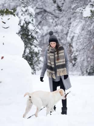 Young woman building snowman with help from her cute dog with branch in mouth in park