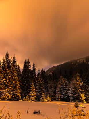 Winter in carpathian muntains
