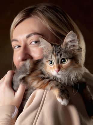 A small purebred kitten sitting on the shoulder of a young woman isolated on colored background. Concept of home comfort, mood, pets love, animal grace. Looks happy, delighted, scared. Copyspace.
