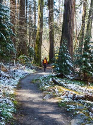 Beautiful early spring landscapes in Yosemite National Park, Yosemite, USA