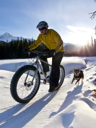 A man goes for a winter fat bike ride with his dog along the edge of a frozen lake in Canada. Fat bikes are mountain bikes with oversized wheels and tires for riding on the snow.