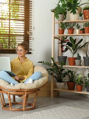 Young woman using laptop in room with different home plants