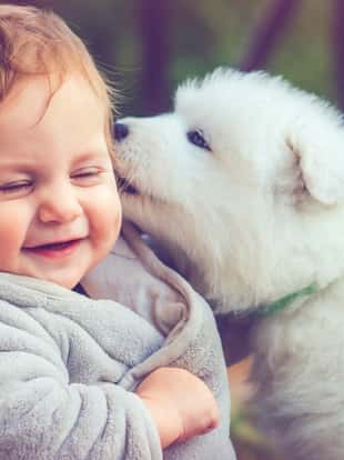 Happy boy with little puppy
