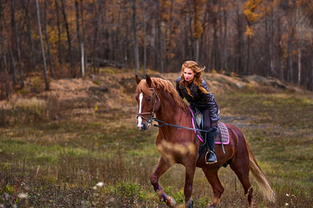 Portrait of a young beautiful woman with long brown hair. Woman on a horse walk in the forest.
