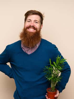Redhead man with long beard over isolated background taking a flowerpot