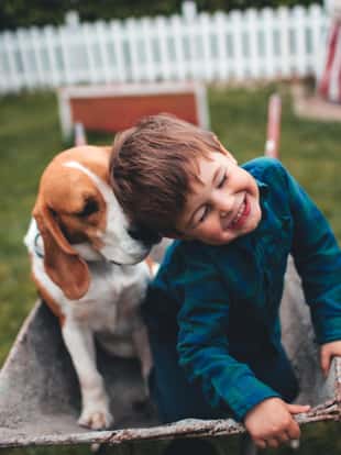 Photo of little smiling boy and his dog having fun outdoors, driving together in a wheelbarrow.