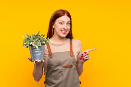 Young redhead gardener woman holding a plant over isolated yellow background pointing finger to the side
