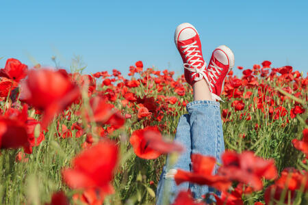 Girls legs in red sneakers in a poppy field. Joy and fun concept.