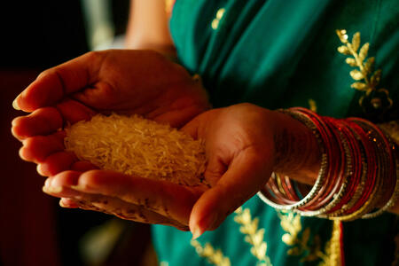 white rice in indian young female hands close up