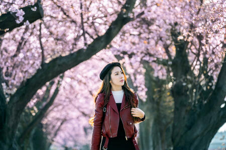 Young woman walking in cherry blossom garden on a spring day. Row cherry blossom trees in Kyoto, Japan