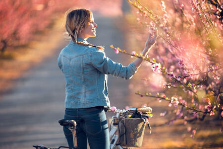 Shot of pretty young woman with a vintage bike looking the cherry blossoms on the field in springtime.