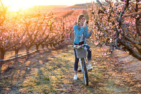 Shot of pretty young woman with a vintage bike taking photographs of cherry blossoms on the field in springtime.