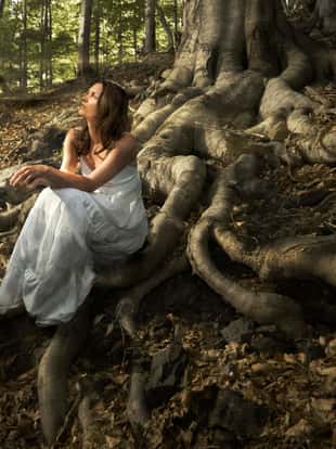 Lovely young lady wearing elegant white dress enjoying the beams of celestial light on her face sitting on the mighty roots of an ancient tree in enchanted woods