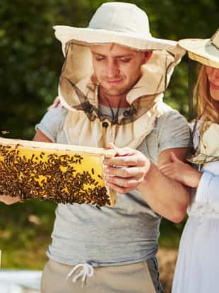 Two beekeepers works with honeycomb full of bees outdoors at sunny day. Man and woman.