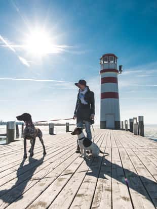 Woman and her dogs posing outdoor on a wooden pier