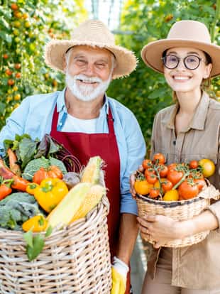 Portrait of a young woman with grandfather holding baskets full of fresh vegetable harvest in the greenhouse of a small agricultural farm