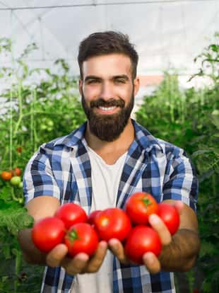 Young farmer holding fresh tomatoes