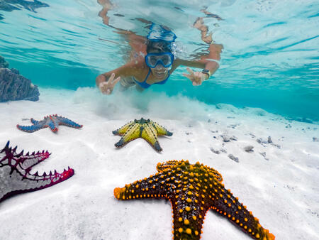 Adult Female Showing Peace Sign While Snorkeling Around Tropical Starfish.