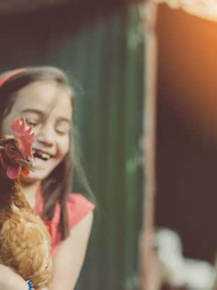Laughing girl hoolding a hen