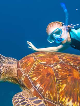 A young woman snorkeler swims with sea turtle Caretta in blue waters of the popular Similan Islands in Thailand, one of the tourist attraction of the Andaman Sea.