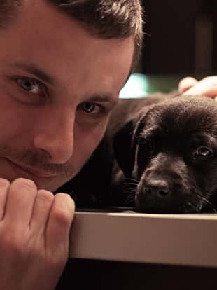 Sweet lazy black labrador retriever baby lying on a table and kissing his Man friend