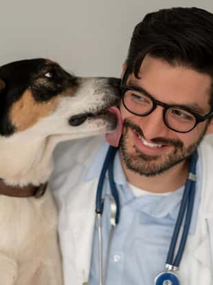 Portrait of an excited mutt dog giving a kiss to the vetâ animal care concepts